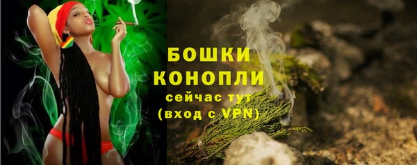 тгк Елизово