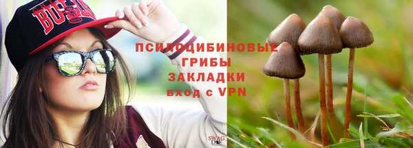 спайс Ельня