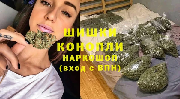 спайс Ельня