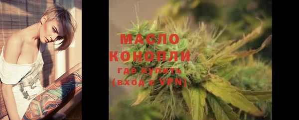 спайс Ельня