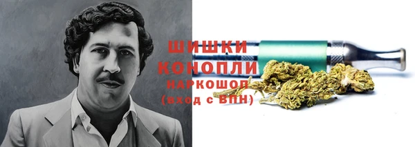 спайс Ельня