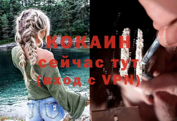 тгк Елизово