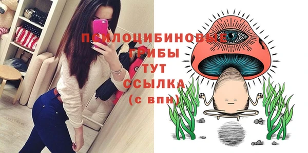 тгк Елизово