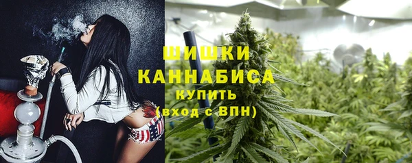 тгк Елизово