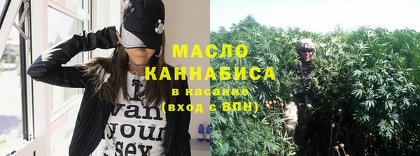 тгк Елизово