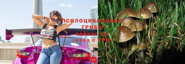 спайс Ельня