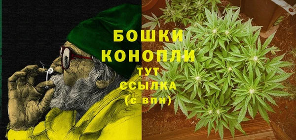 apvp Елабуга