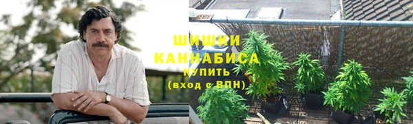 apvp Елабуга