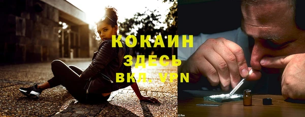 спайс Ельня